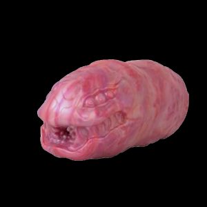 G6128 Centipede Male Masturbator