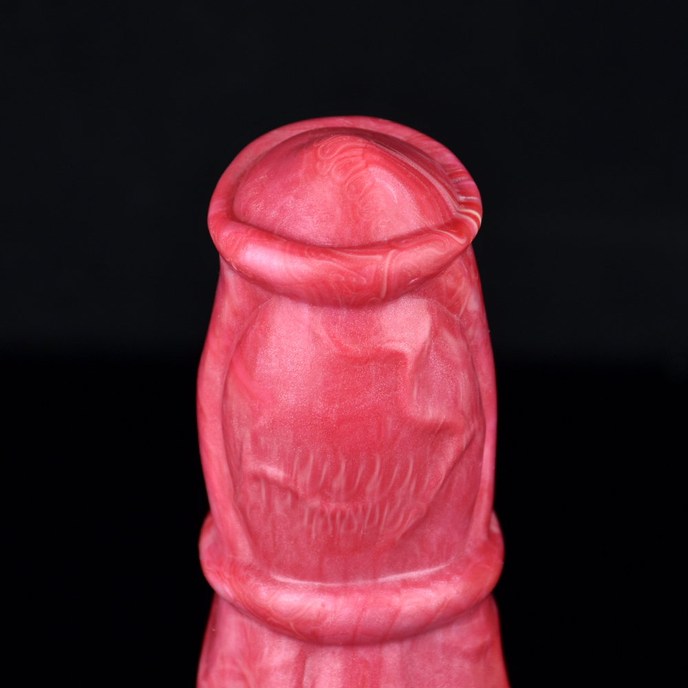 N5072 Miele - Image 4