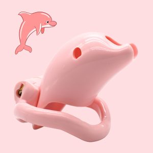 FRRK-60 ABS Resin Chastity Cage