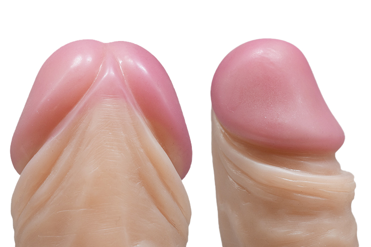 FAAK082 45cm Super Coarse Giant Penis - Image 7