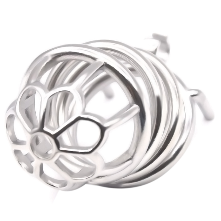 FRRK-03 Round Ring 304 Stainless Steel Chastity Cage - Image 11