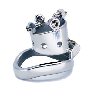 FRRK-29C Curved Ring 304 Stainless Steel Chastity Cage