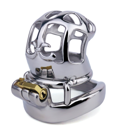 FRRK-115C Curved Ring 304 Stainless Steel Chastity Cage