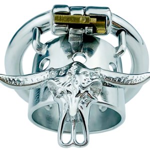 FRRK-87 Round Ring 304 Stainless Steel Chastity Cage
