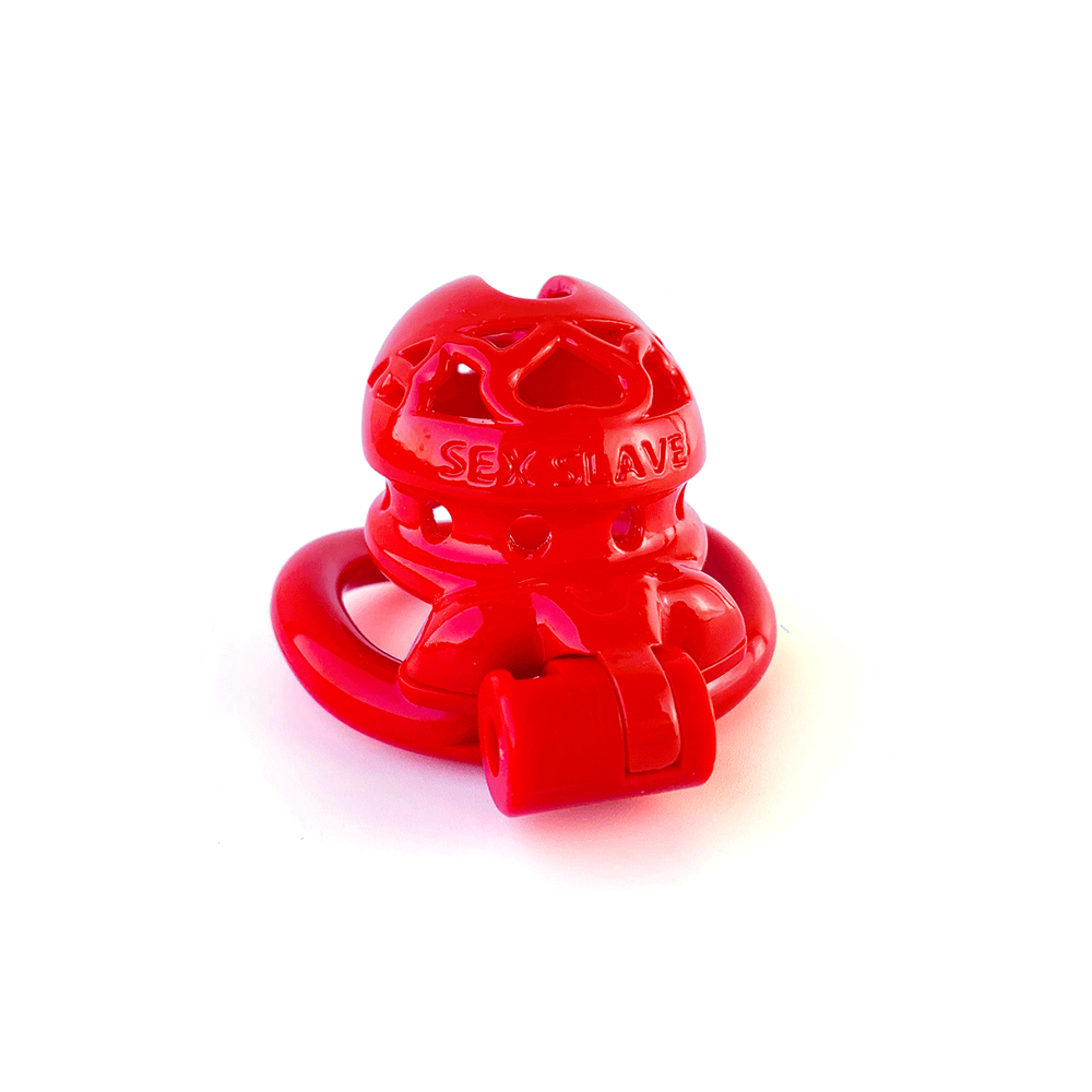 FRRK-107 ABS Resin chastity cage - Image 4