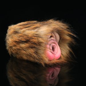 G-F6222 Tiger Fantasy Animal Pussy Toy For Men masturbating, Furry Masturbator